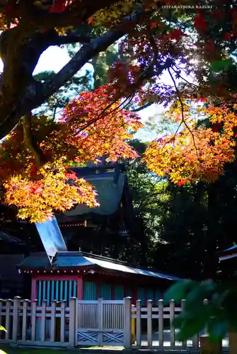 鹿島神宮(茨城県)