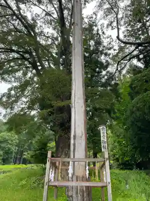 諏訪大社上社前宮(長野県)