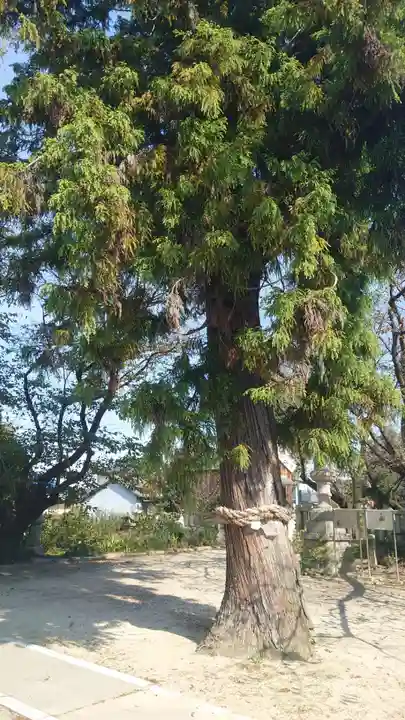 石刀神社の自然