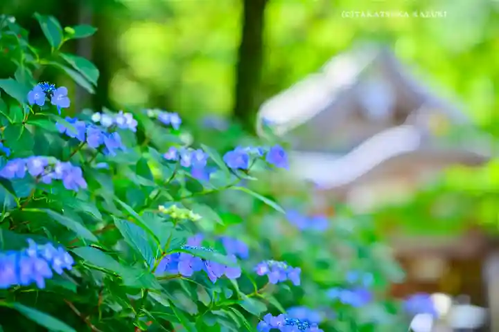 高幡不動尊 金剛寺(東京都)