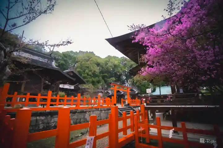 龍田大社(奈良県)