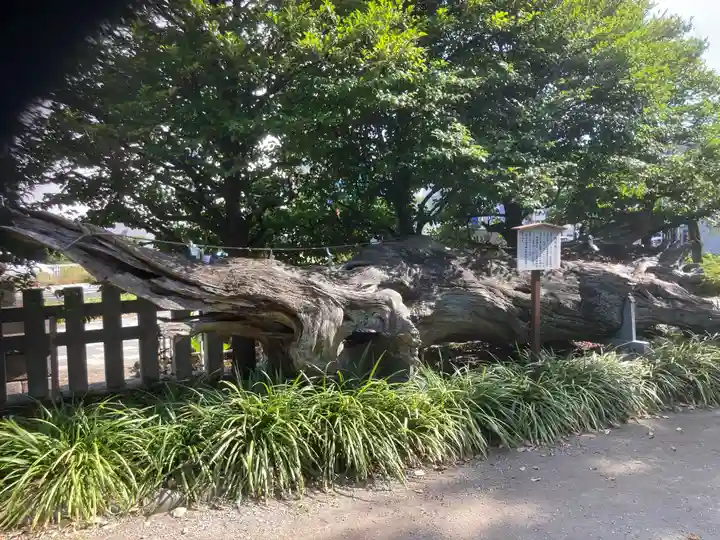瀬戸神社(神奈川県)