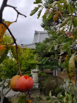 福満寺の本殿・本堂