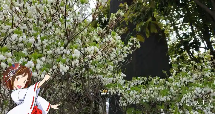 上平井天祖神社の自然