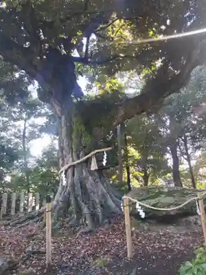 新日吉神宮(京都府)