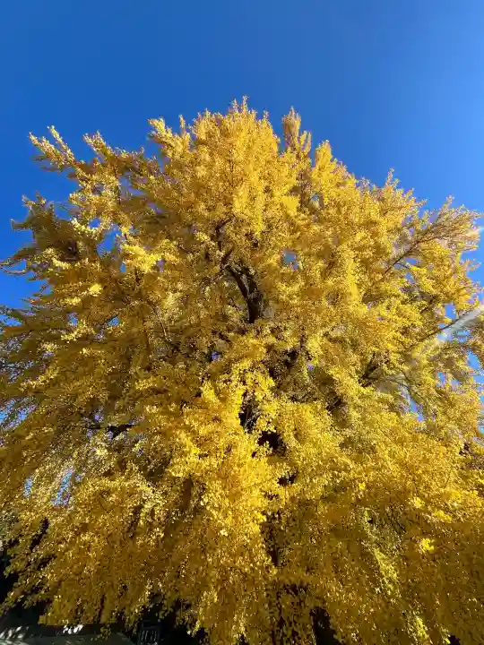 丹生酒殿神社(和歌山県)