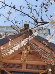 札幌祖霊神社の自然