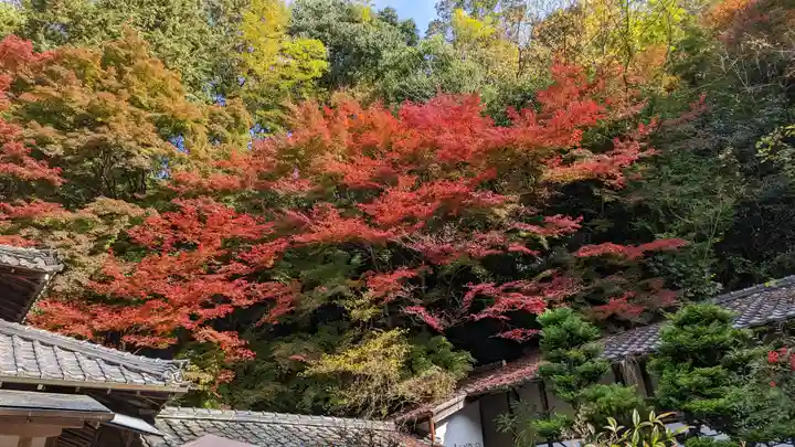 山科聖天 雙林院(双林院) (京都府)