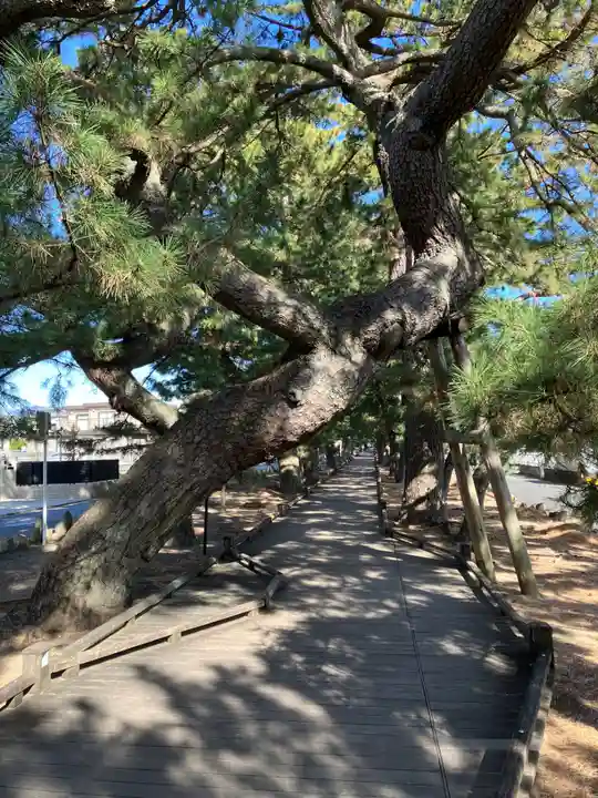 羽車神社(静岡県)
