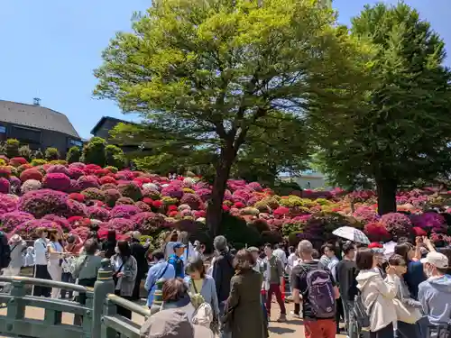 根津神社(東京都)