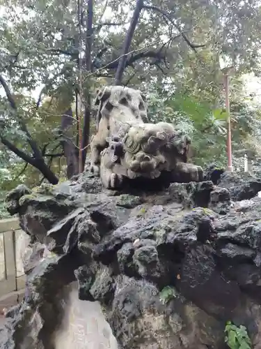 赤坂氷川神社の狛犬