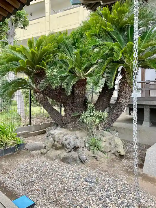 光明寺(千葉県)