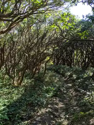 椿大神社(三重県)