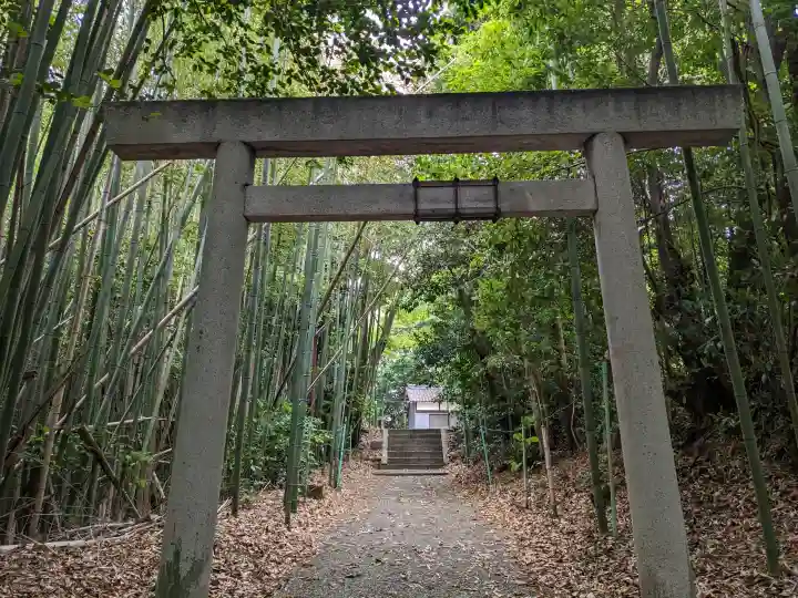 白山神社の{uncategorized: "未分類", other: "その他", undefined: "問題あり", building: "その他建物", grave: "お墓", sacred_gate: "鳥居", guardian: "狛犬", statue: "像", buddha: "仏像", history: "歴史", nature: "自然", garden: "庭園", animal: "動物", pagoda: "塔", temizu: "手水舎", mountain_gate: "山門・神門", sanctuary: "本殿・本堂", subordinate: "末社・摂社", art: "芸術", scenery: "景色", jizo: "地蔵", ema: "絵馬", goshuin: "御朱印", omikuji: "おみくじ", items: "授与品その他", amulet: "お守り", goshuincho: "御朱印帳", eats: "食事", festival: "お祭り", votive_dance: "神楽", shichigosan: "七五三参", wedding: "結婚式", experience: "体験その他", initially: "初詣", around: "周辺", anti_infection: "感染症対策"}