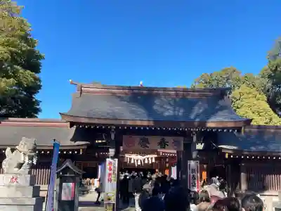 亀ケ池八幡宮(神奈川県)