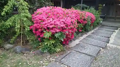 本郷氷川神社(東京都)