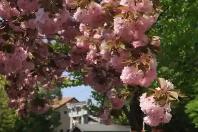 滑川神社 - 仕事と子どもの守り神の鳥居