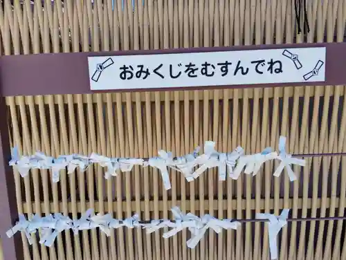 貞照寺のおみくじ