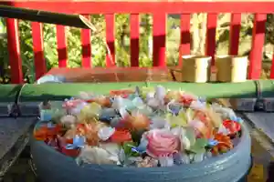 早馬神社の手水舎(2025年04月21日(月) 20時22分41秒投稿)