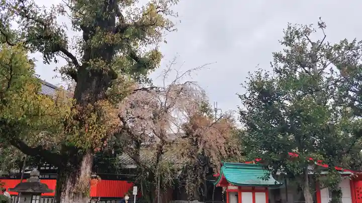 車折神社の景色
