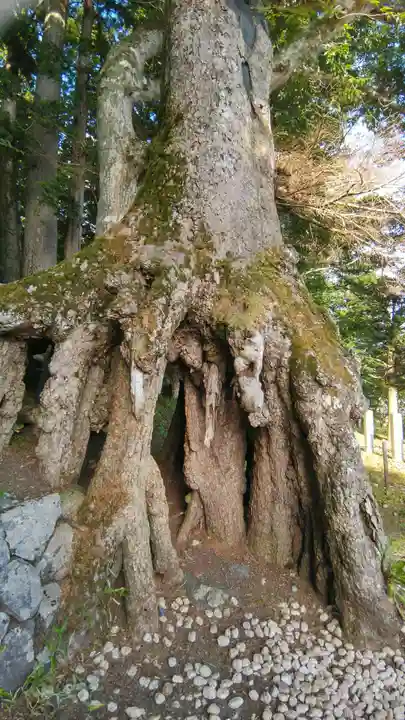 富士山東口本宮 冨士浅間神社(静岡県)
