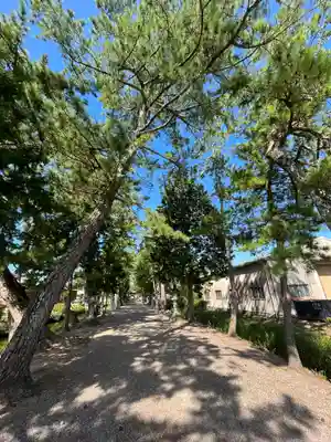 志那神社(滋賀県)