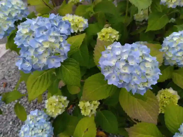 總社 和田八幡宮(福井県)