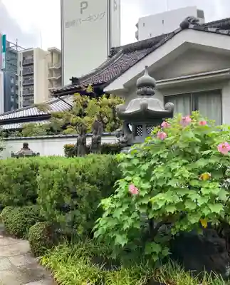 浜本山　源光寺(大阪府)