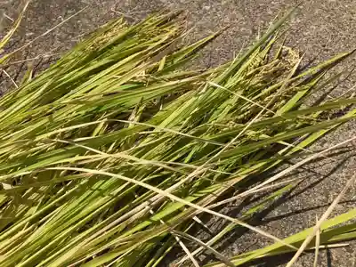 總社 和田八幡宮(福井県)