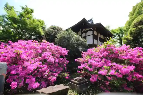 清水観音堂の庭園