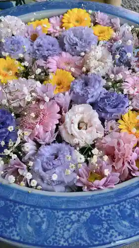 多賀神社の手水舎