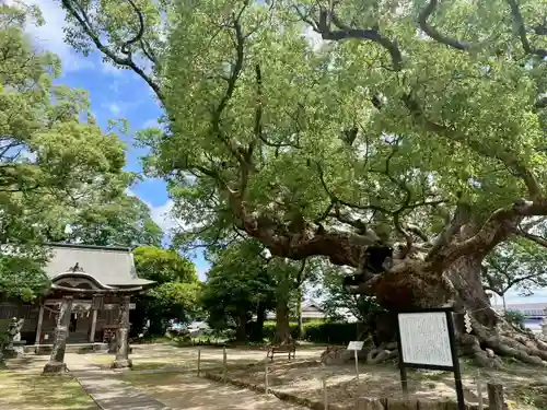 青幡神社(佐賀県)