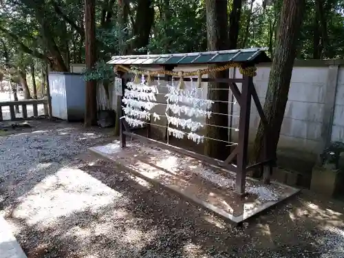 樹木神社のおみくじ