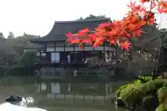 平安神宮(京都府)