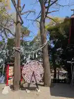 多摩川浅間神社(東京都)