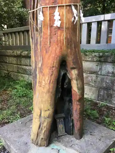 安房神社の自然