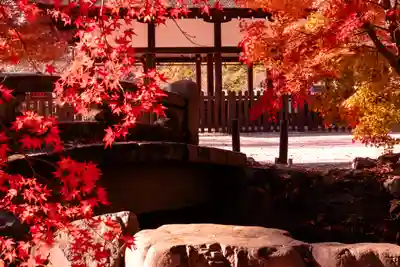 賀茂別雷神社（上賀茂神社）(京都府)