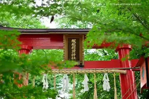 塚越稲荷神社の鳥居