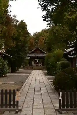 木嶋坐天照御魂神社(京都府)