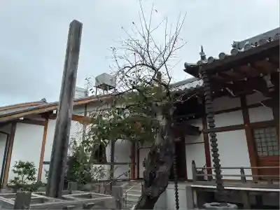 悟眞寺(悟真寺)(京都府)