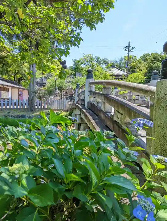 くろ谷 金戒光明寺(京都府)