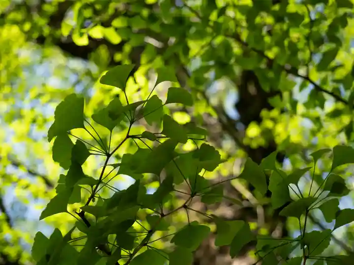 赤坂氷川神社(東京都)