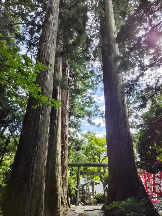 鹿島大神宮(福島県)