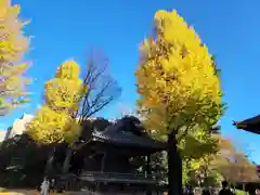 根津神社(東京都)