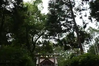 眞名井神社(籠神社奥宮)(京都府)