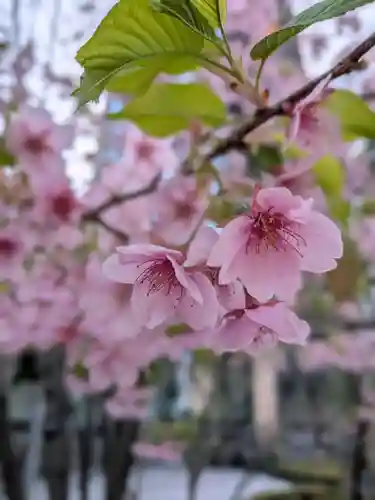 淀橋咳止地蔵尊(東京都)