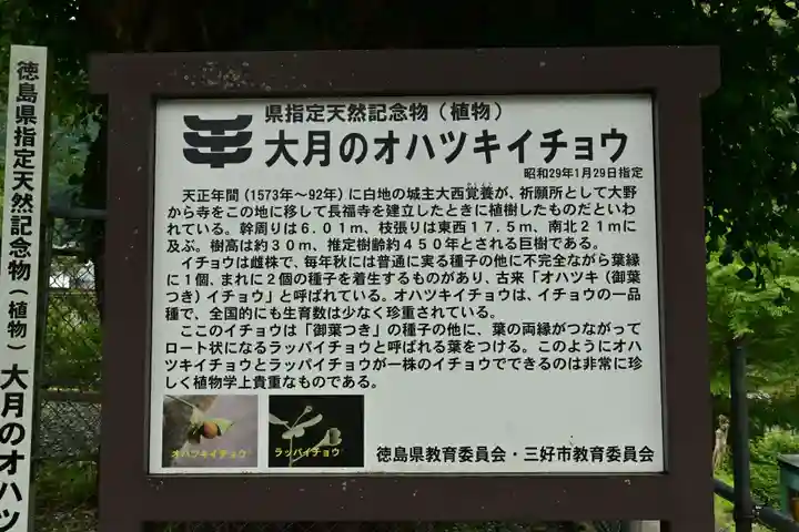 長福寺(徳島県)