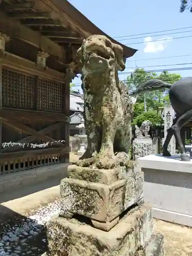 一宮神社の狛犬