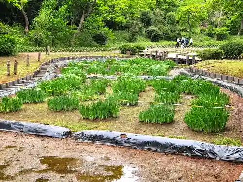 明治神宮(東京都)