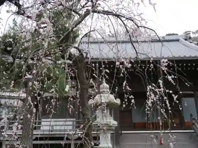 常立寺の本殿・本堂